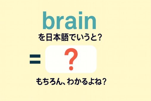 brain