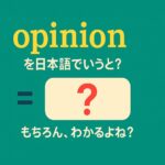 opinion