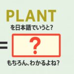 plant