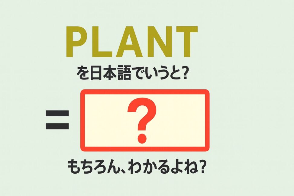 plant